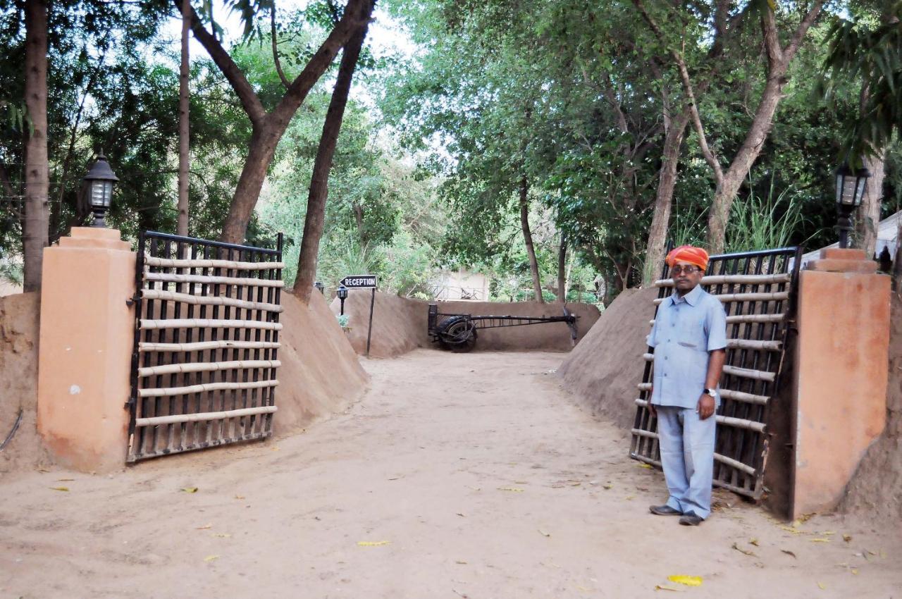 Tiger Machan Sawai Madhopur Exteriör bild